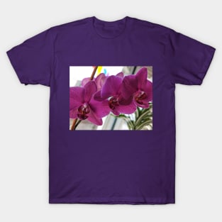 Indoor Jungle - Orchid T-Shirt